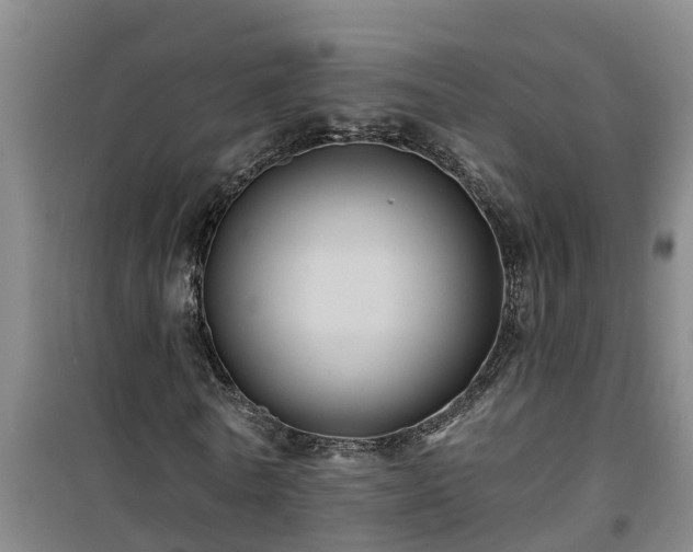 X0000101090770200807031725