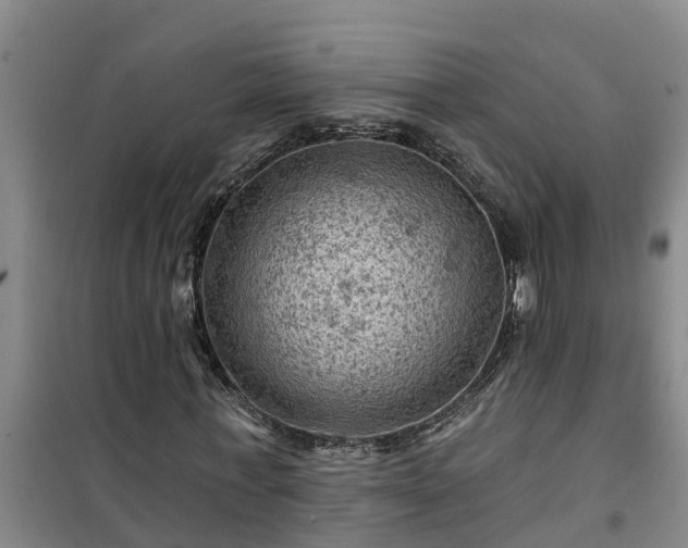 X0000101090771200807031725