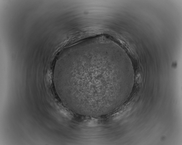 X0000101090772200807031725