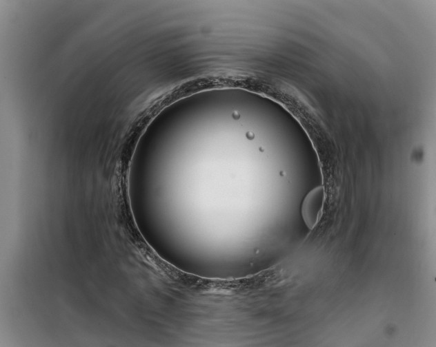 X0000101090773200807031725