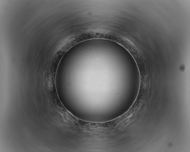 X0000101090774200807031725