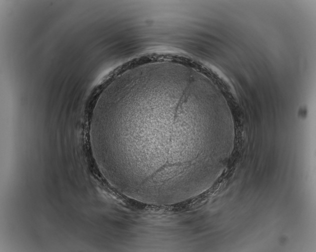 X0000101090775200807031725