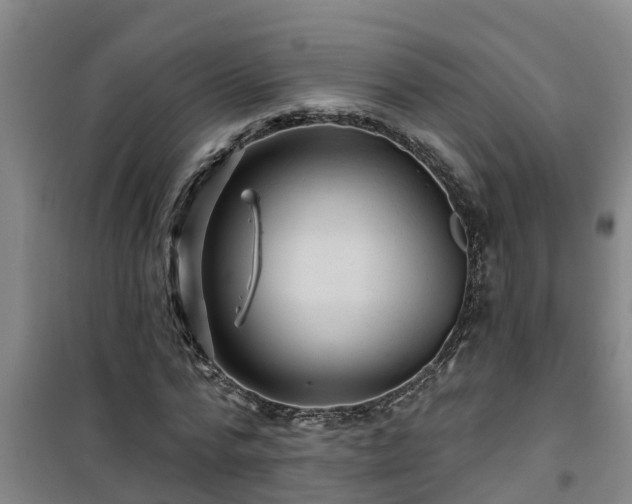 X0000101090776200807031725