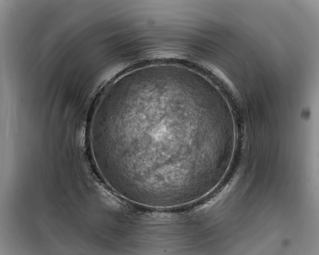 X0000101090777200807031725