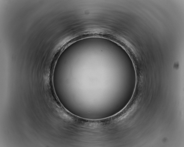 X0000101090778200807031725