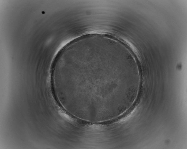 X0000101090779200807031725