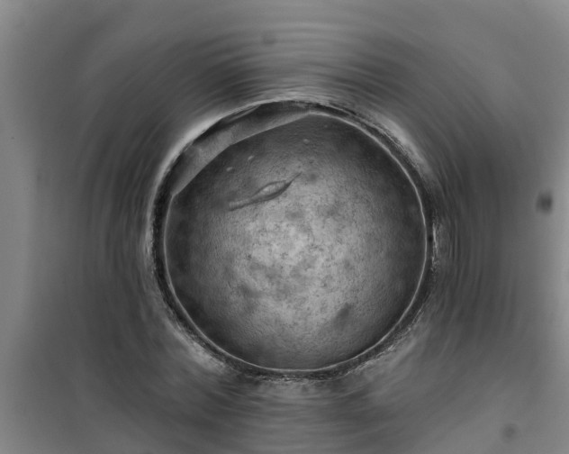 X0000101090780200807031725