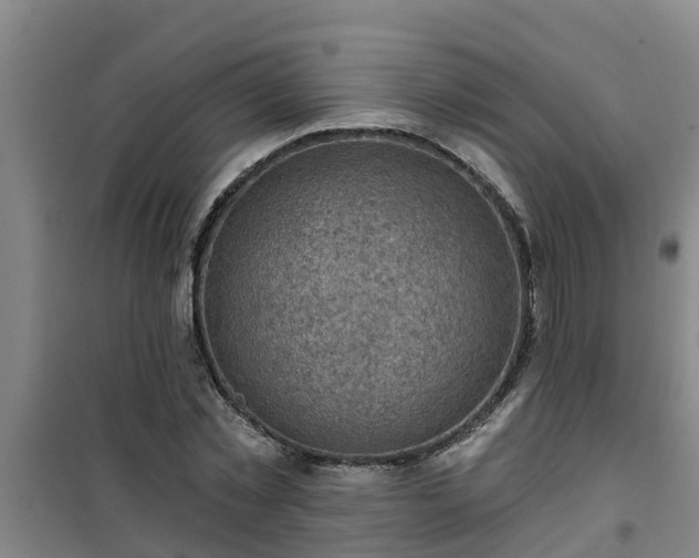 X0000101090781200807031725