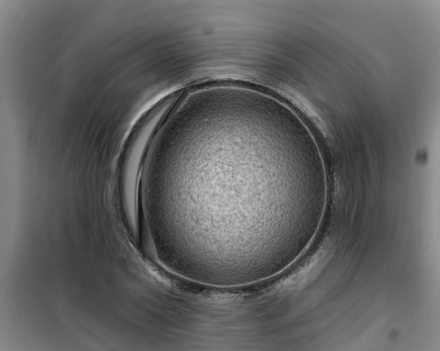 X0000101090782200807031725