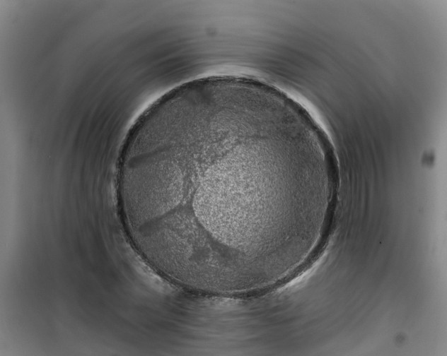 X0000101090783200807031725