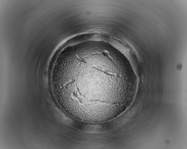 X0000101090784200807031725