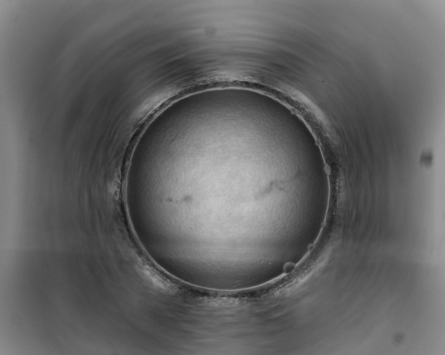 X0000101090785200807031725