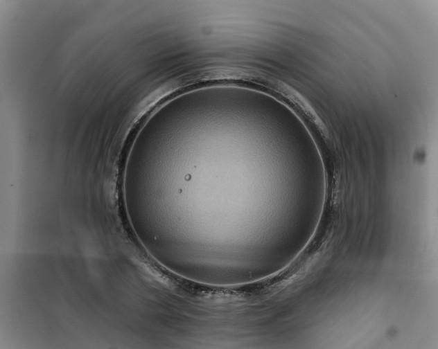 X0000101090786200807031725