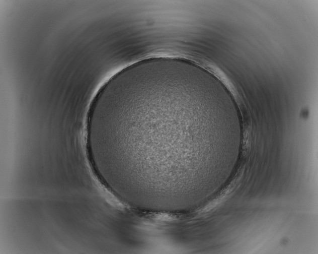 X0000101090787200807031725