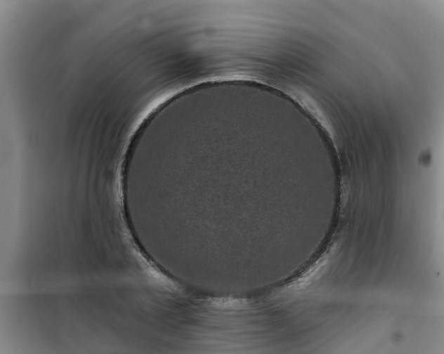 X0000101090789200807031725