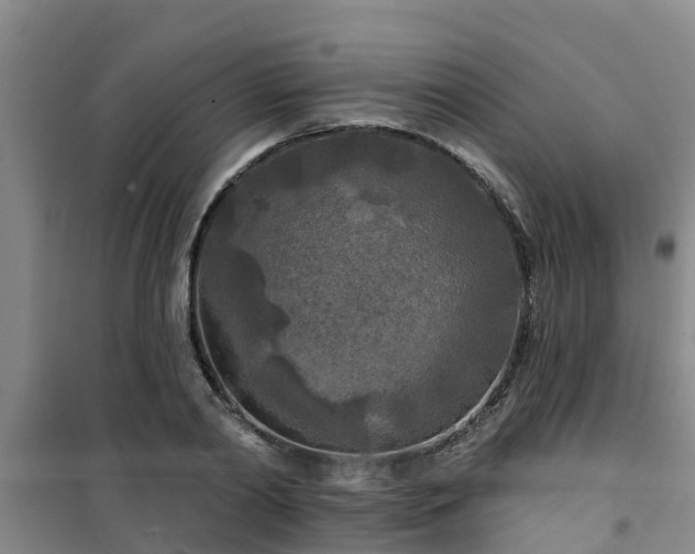 X0000101090790200807031725