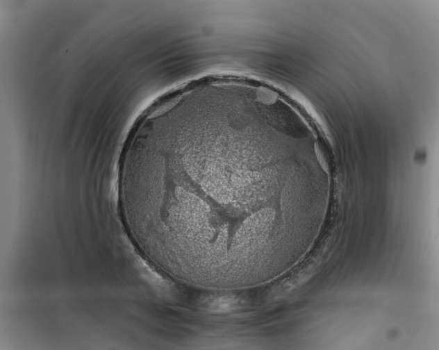 X0000101090791200807031725