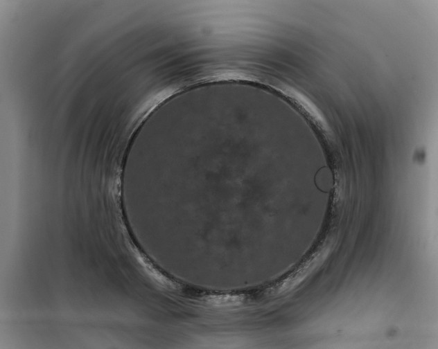 X0000101090793200807031725