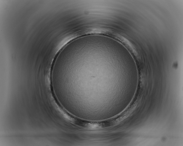 X0000101090794200807031725