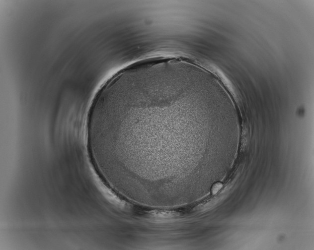 X0000101090795200807031725