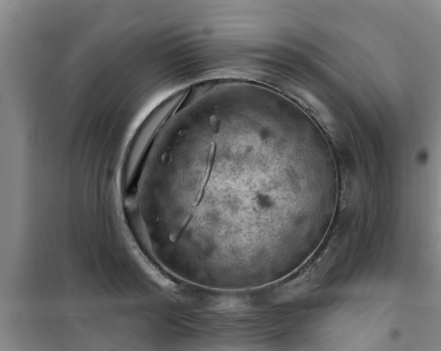 X0000101090796200807031725