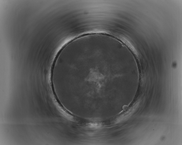 X0000101090797200807031725