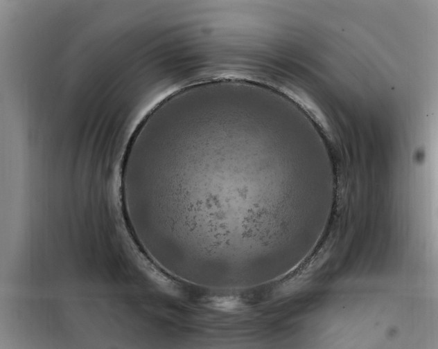 X0000101090798200807031725