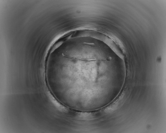 X0000101090800200807031725