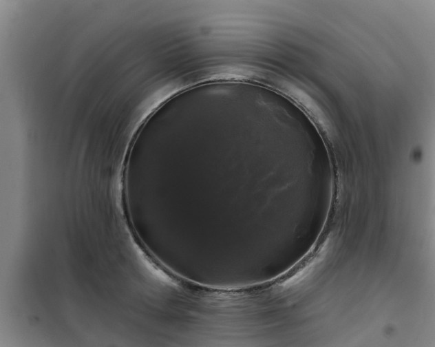 X0000101090802200807031725