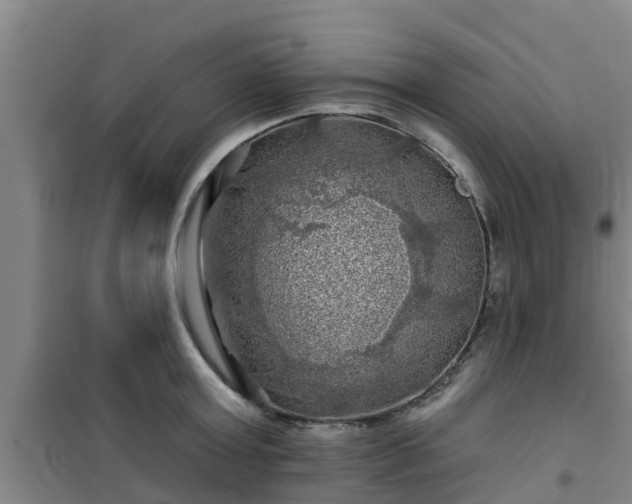 X0000101090803200807031725