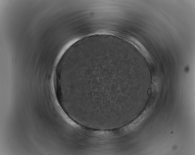 X0000101090804200807031725