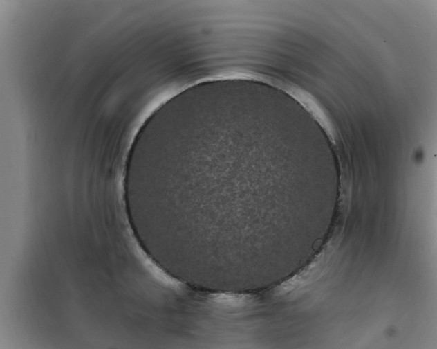 X0000101090805200807031725