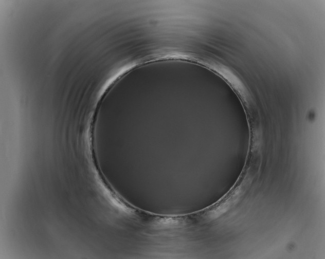 X0000101090806200807031725