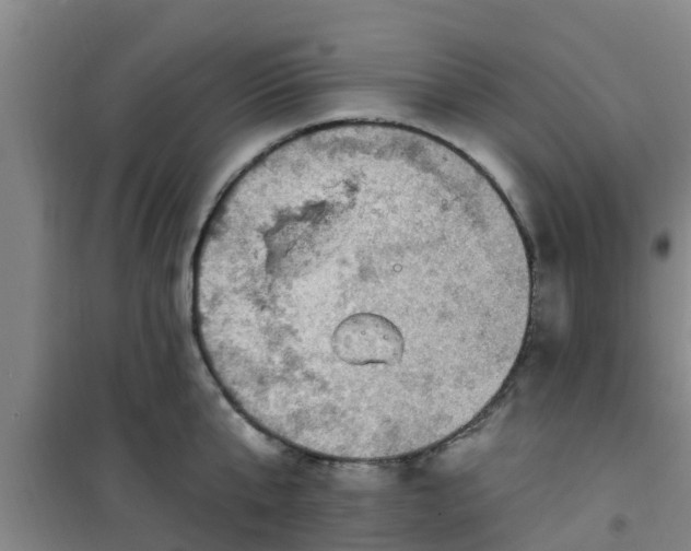 X0000101090807200807031725