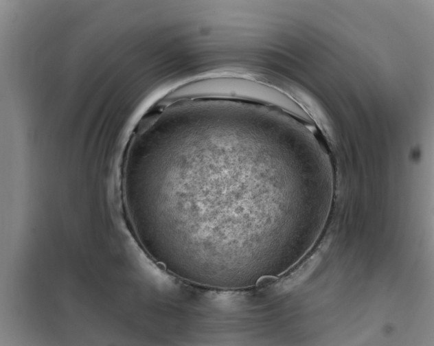 X0000101090808200807031725