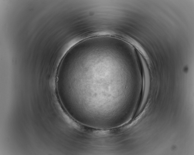 X0000101090810200807031725