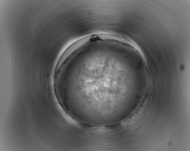 X0000101090811200807031725