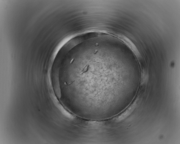 X0000101090812200807031725