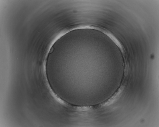 X0000101090813200807031725