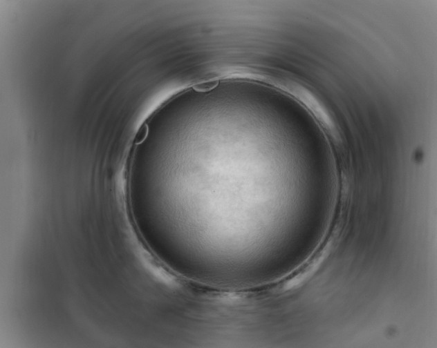 X0000101090814200807031725