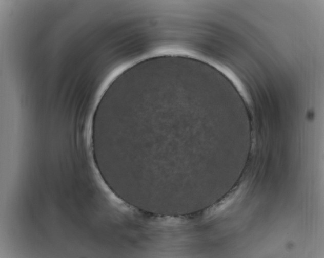 X0000101090815200807031725