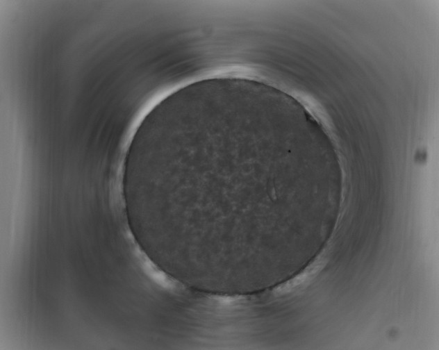 X0000101090816200807031725