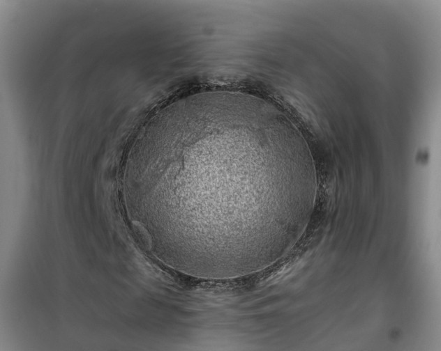 X0000101090817200807031724