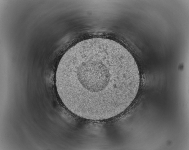 X0000101090820200807031724