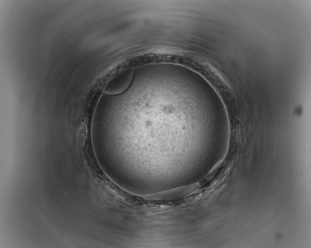 X0000101090821200807031724