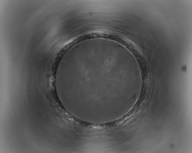 X0000101090822200807031724