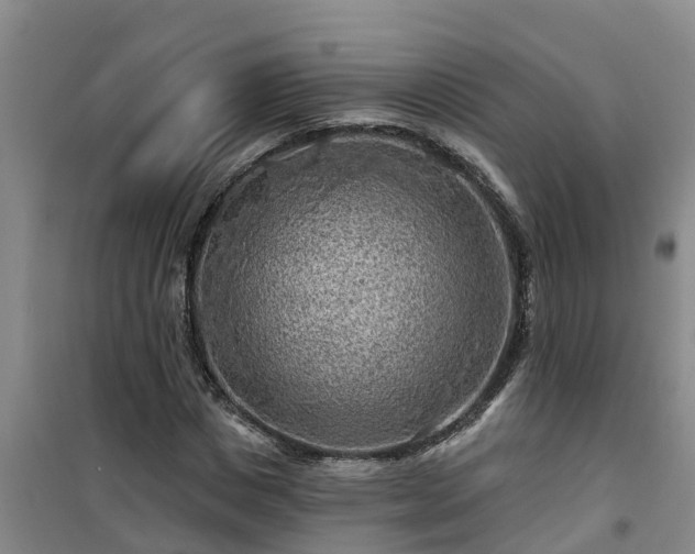 X0000101090825200807031724