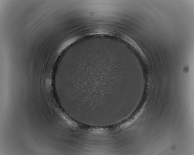 X0000101090826200807031724