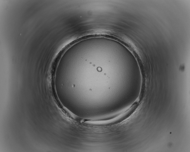 X0000101090827200807031724