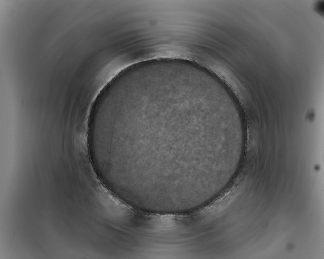 X0000101090828200807031724